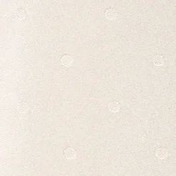 CRAVATTA CERIMONIA IN RASO DI SETA GRIGIO CHIARO Pois