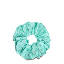 ELASTICO PER CAPELLI IN SETA VERDE CHIARO Em logo