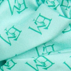 ELASTICO PER CAPELLI IN SETA VERDE CHIARO Em logo