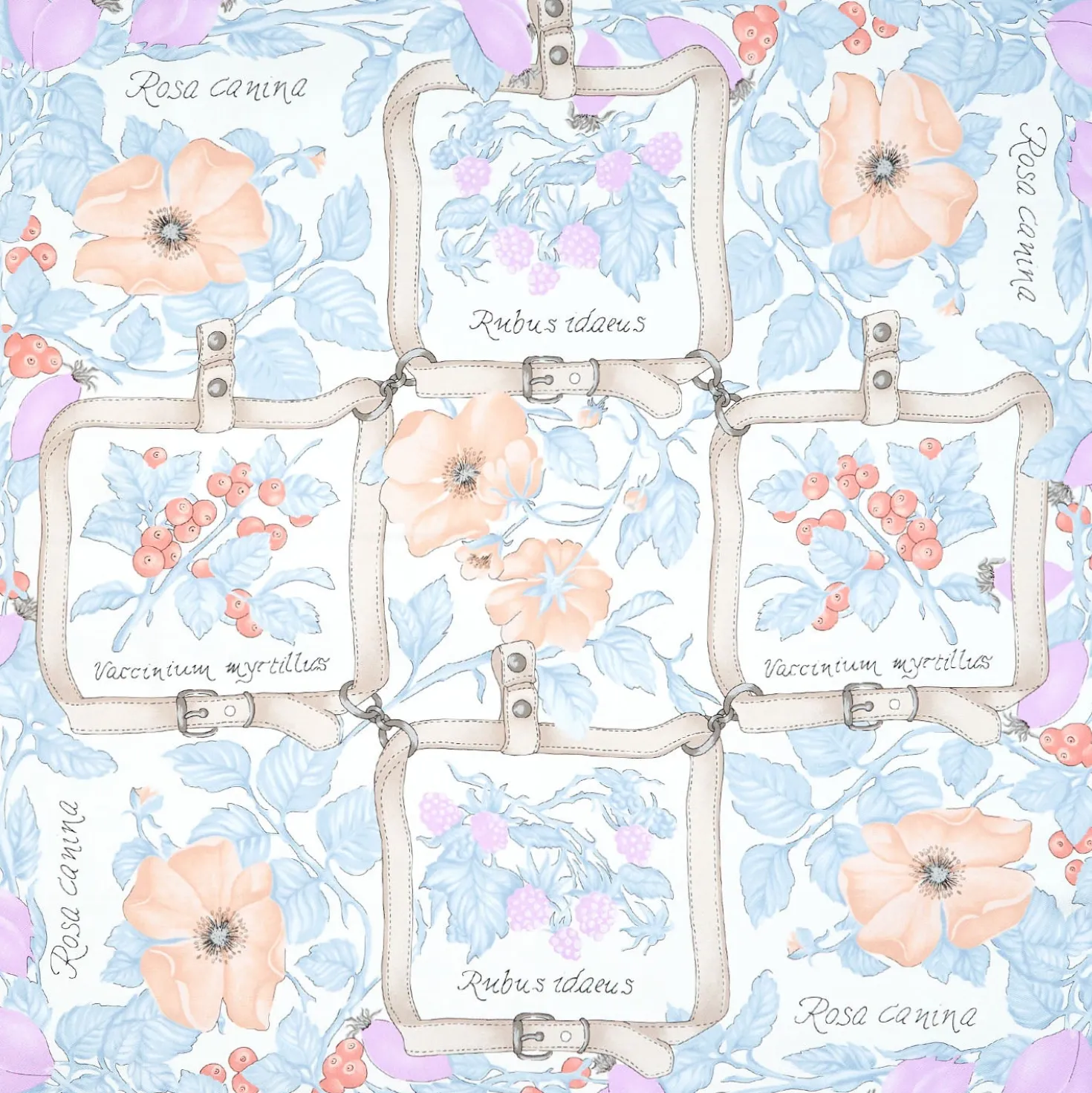 FOULARD IN SETA 90 AZZURRO La rosa canina