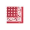 POCHETTE DA TASCHINO IN SETA STAMPATA A MANO BORDEAUX Macrofantasia fiore